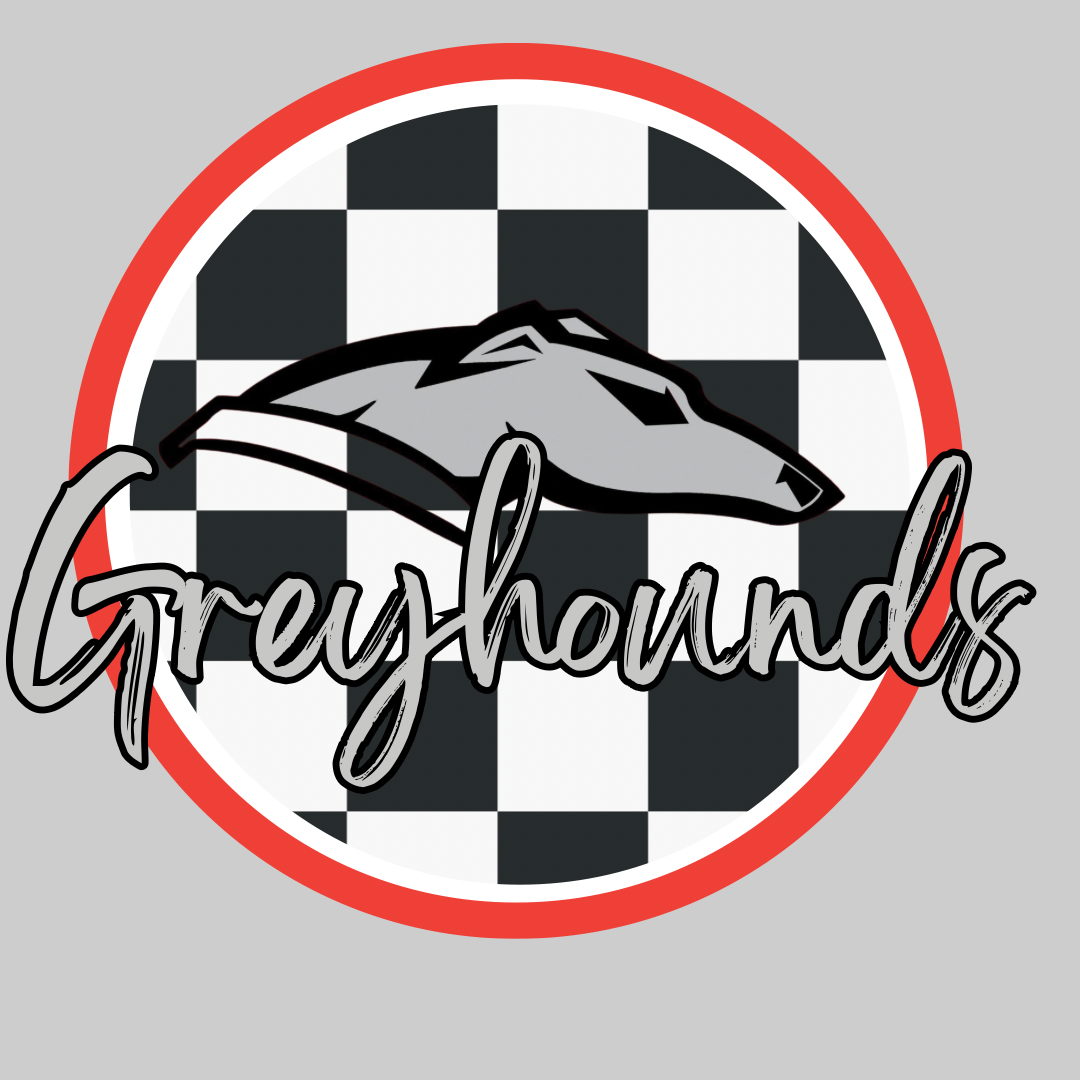 MADE TO ORDER - GREYHOUNDS GRAPHIC TEE