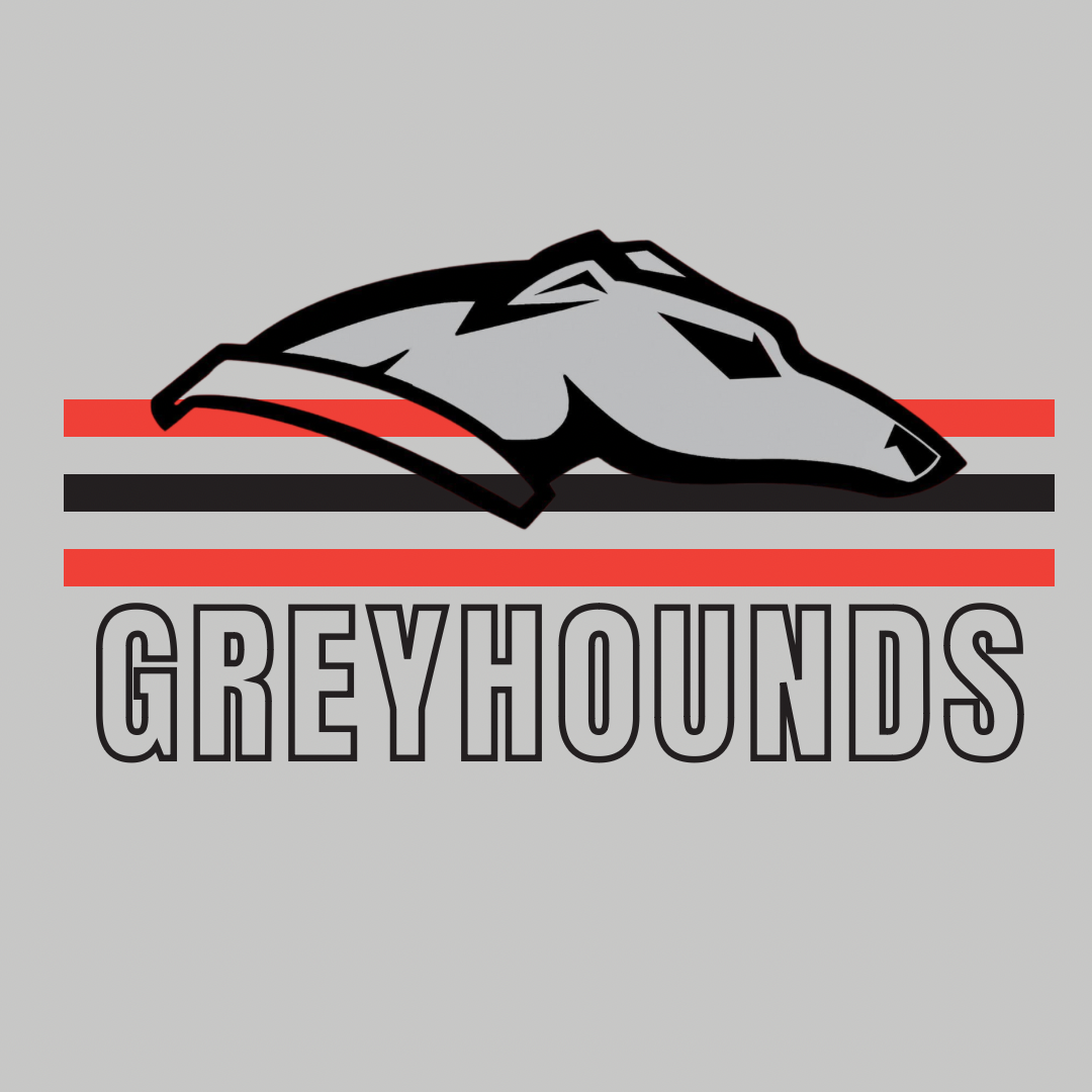 MADE TO ORDER - GREYHOUNDS GRAPHIC TEE