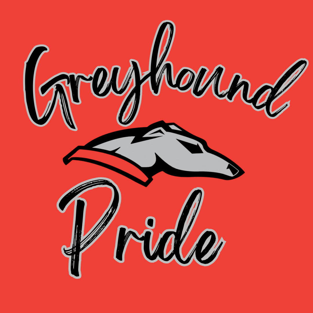 MADE TO ORDER - GREYHOUNDS GRAPHIC TEE